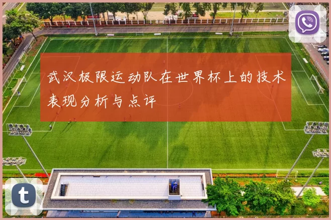 武汉极限运动队在世界杯上的技术表现分析与点评