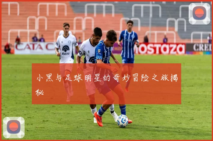 小黑与足球明星的奇妙冒险之旅揭秘
