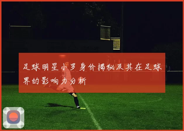 足球明星小罗身价揭秘及其在足球界的影响力分析