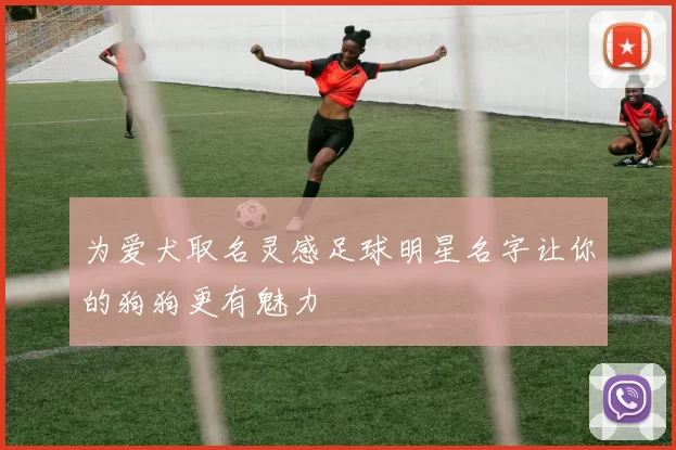 为爱犬取名灵感足球明星名字让你的狗狗更有魅力