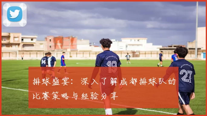 排球盛宴：深入了解成都排球队的比赛策略与经验分享