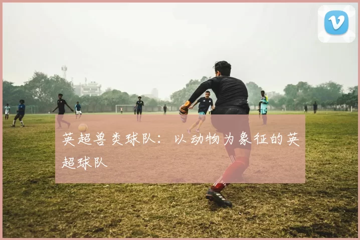 英超兽类球队：以动物为象征的英超球队