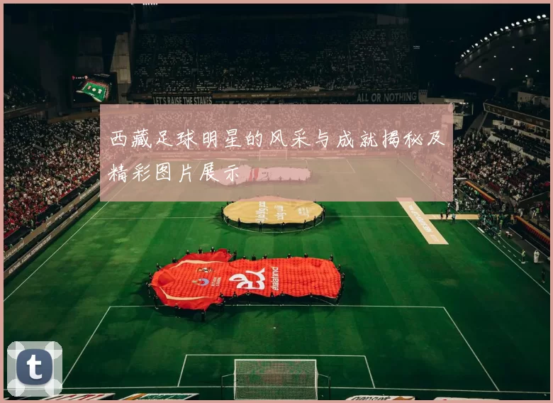 西藏足球明星的风采与成就揭秘及精彩图片展示