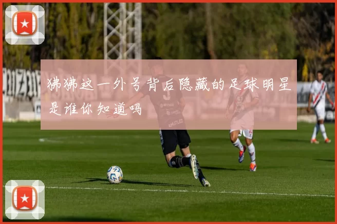 狒狒这一外号背后隐藏的足球明星是谁你知道吗