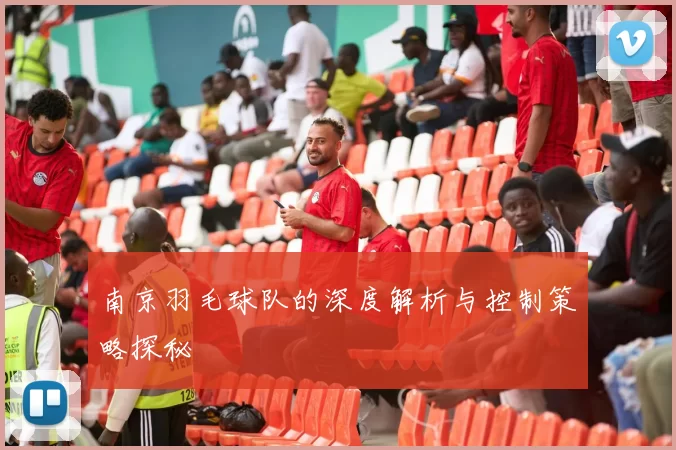 南京羽毛球队的深度解析与控制策略探秘