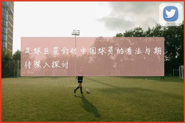足球巨星们对中国球员的看法与期待深入探讨