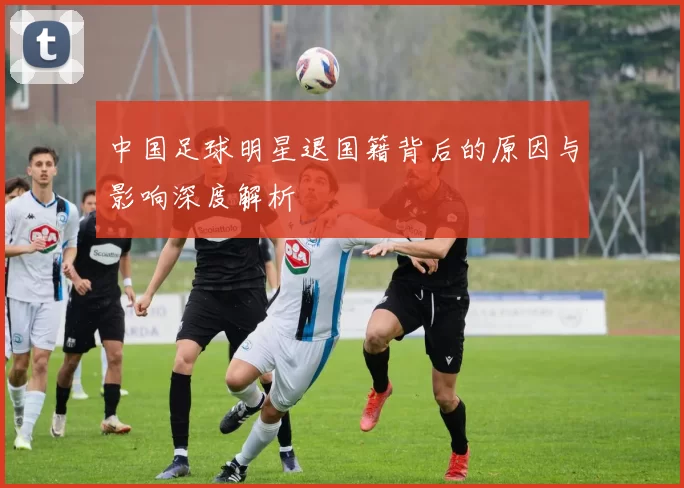 中国足球明星退国籍背后的原因与影响深度解析