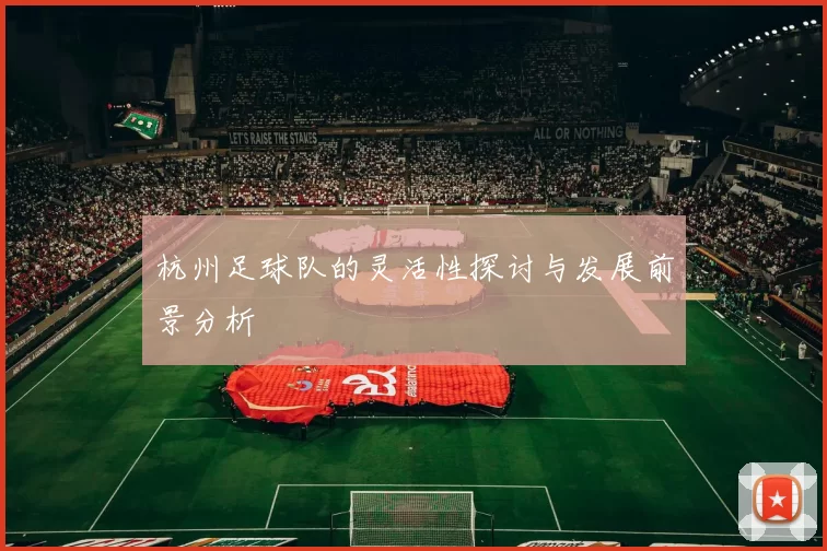 杭州足球队的灵活性探讨与发展前景分析