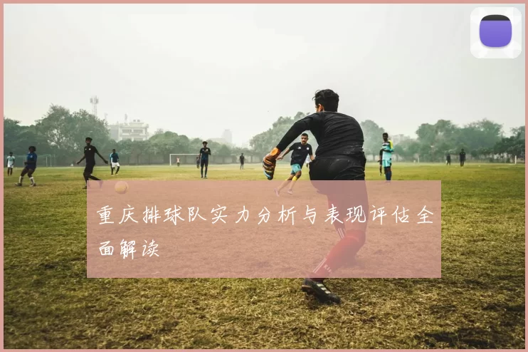 重庆排球队实力分析与表现评估全面解读