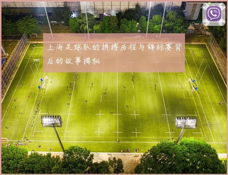 上海足球队的拼搏历程与锦标赛背后的故事揭秘