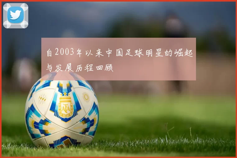 自2003年以来中国足球明星的崛起与发展历程回顾