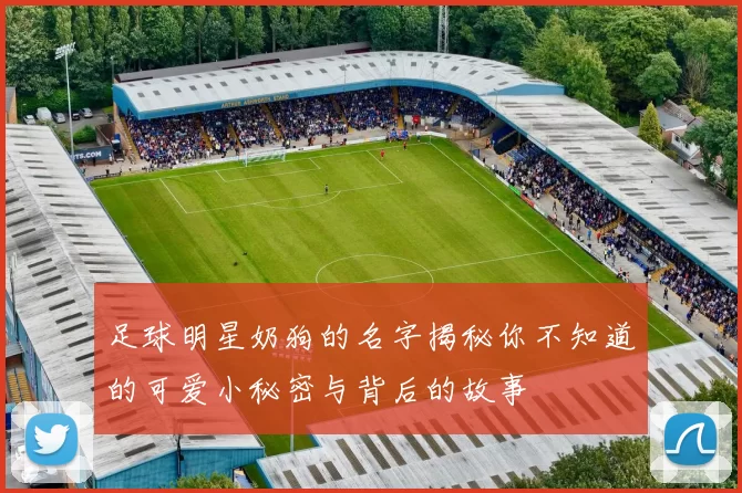 足球明星奶狗的名字揭秘你不知道的可爱小秘密与背后的故事