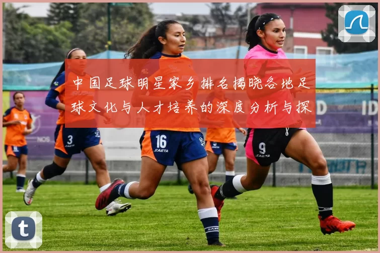 中国足球明星家乡排名揭晓各地足球文化与人才培养的深度分析与探讨