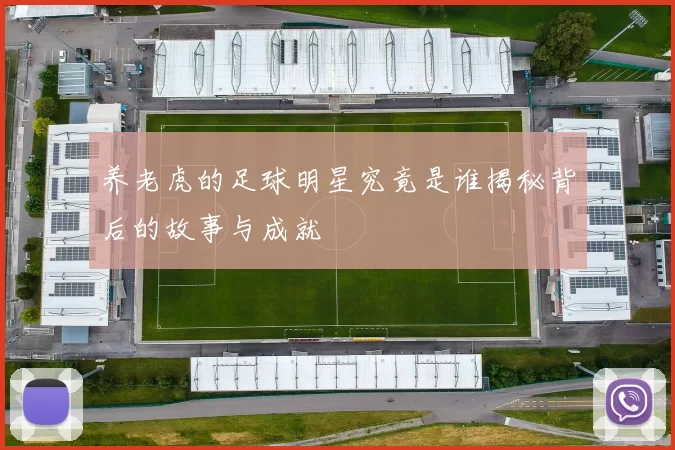 养老虎的足球明星究竟是谁揭秘背后的故事与成就