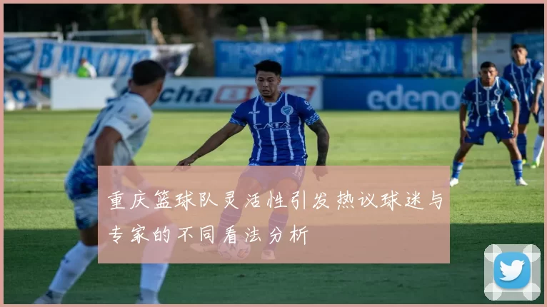 重庆篮球队灵活性引发热议球迷与专家的不同看法分析