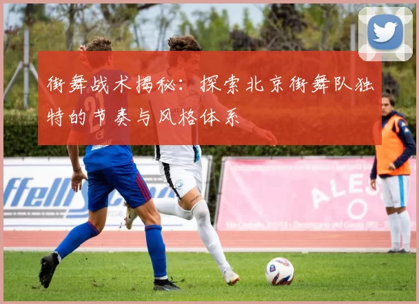 街舞战术揭秘：探索北京街舞队独特的节奏与风格体系